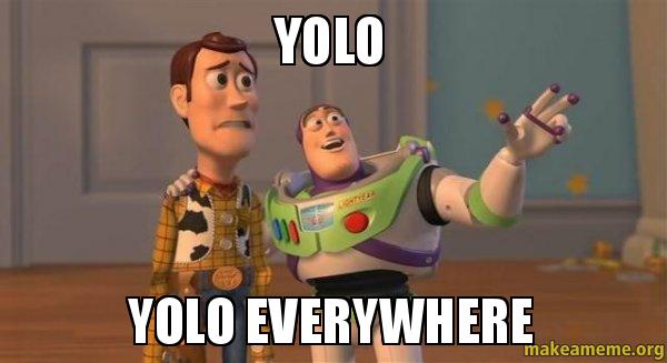 yolo-yolo-everywhere.jpg